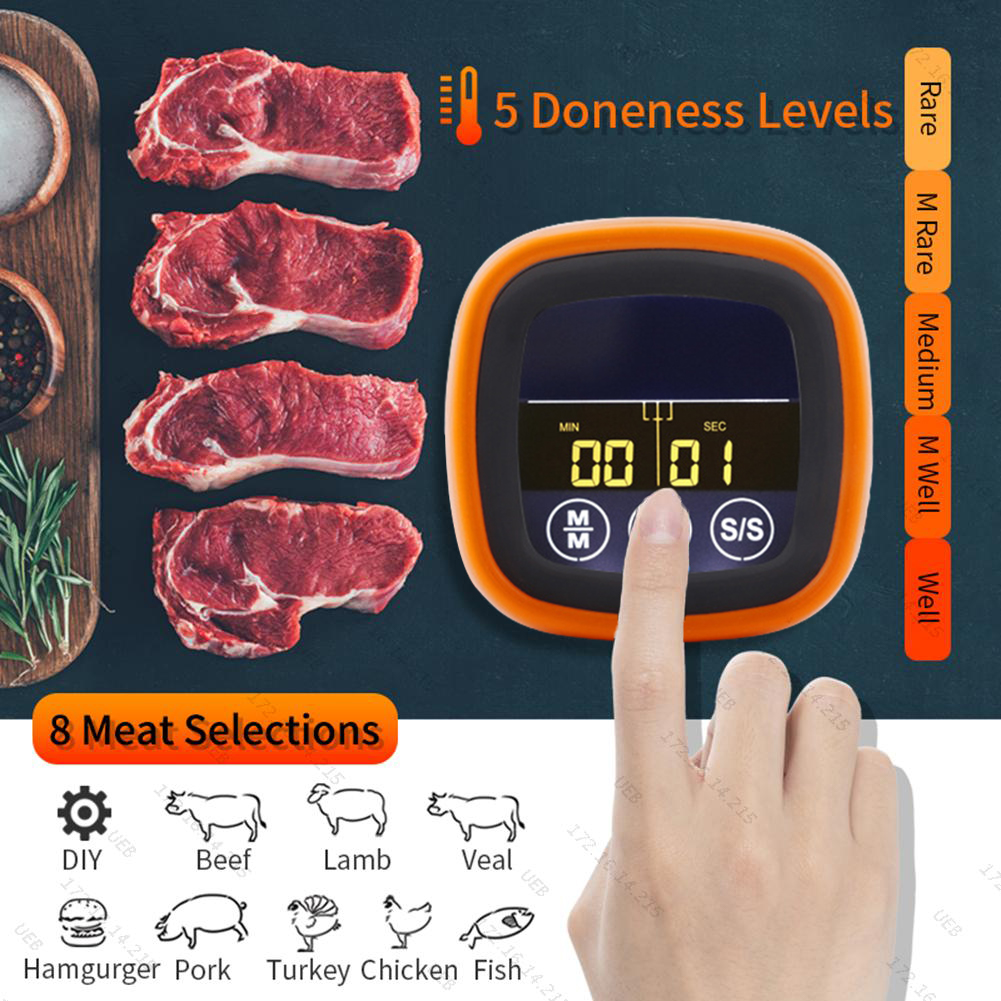Termometro digitale per temper - Digital Thermometer Probe recensione e prezzo
