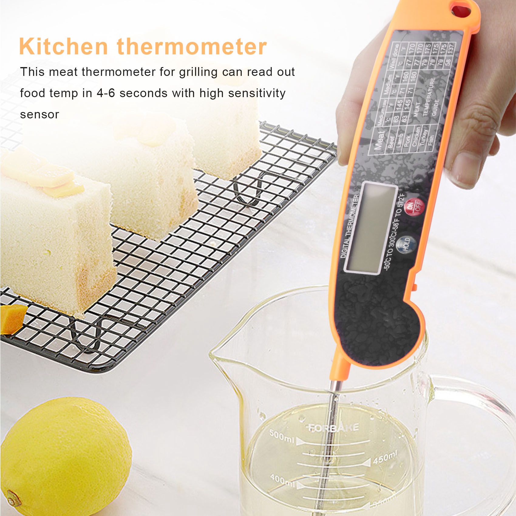 Termometro digitale per carne  - Digital Thermometer Probe recensione e prezzo